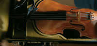 A Late Quartet